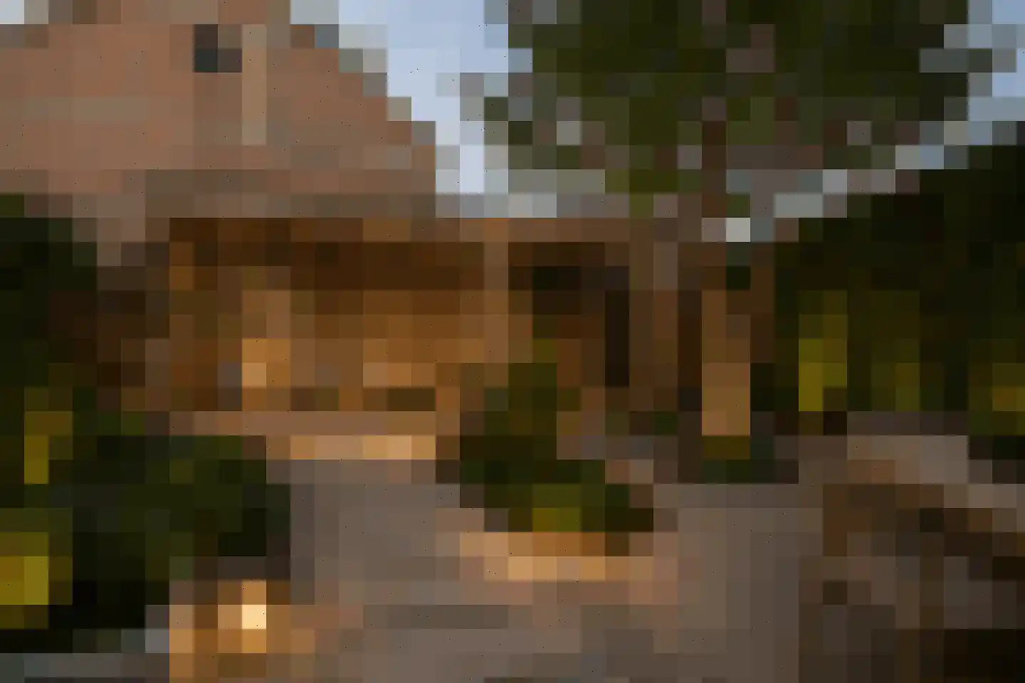 Waterhoen 5 Muiderberg thumbnail 13