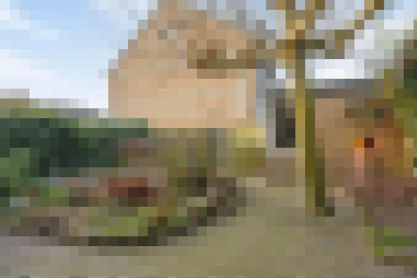Waterhoen 5 Muiderberg thumbnail 13