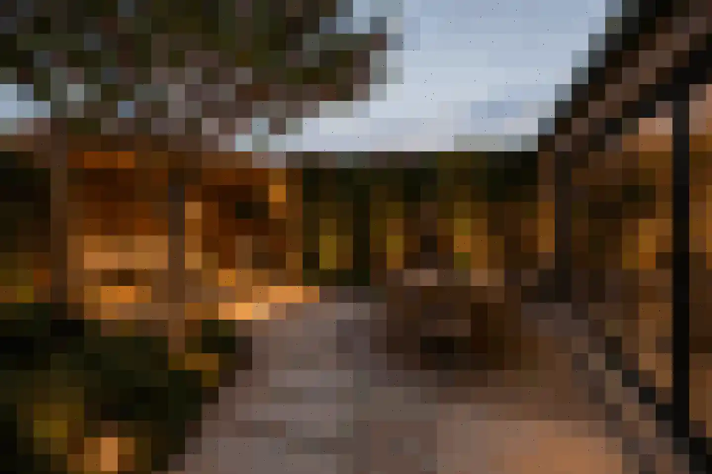 Waterhoen 5 Muiderberg thumbnail 15