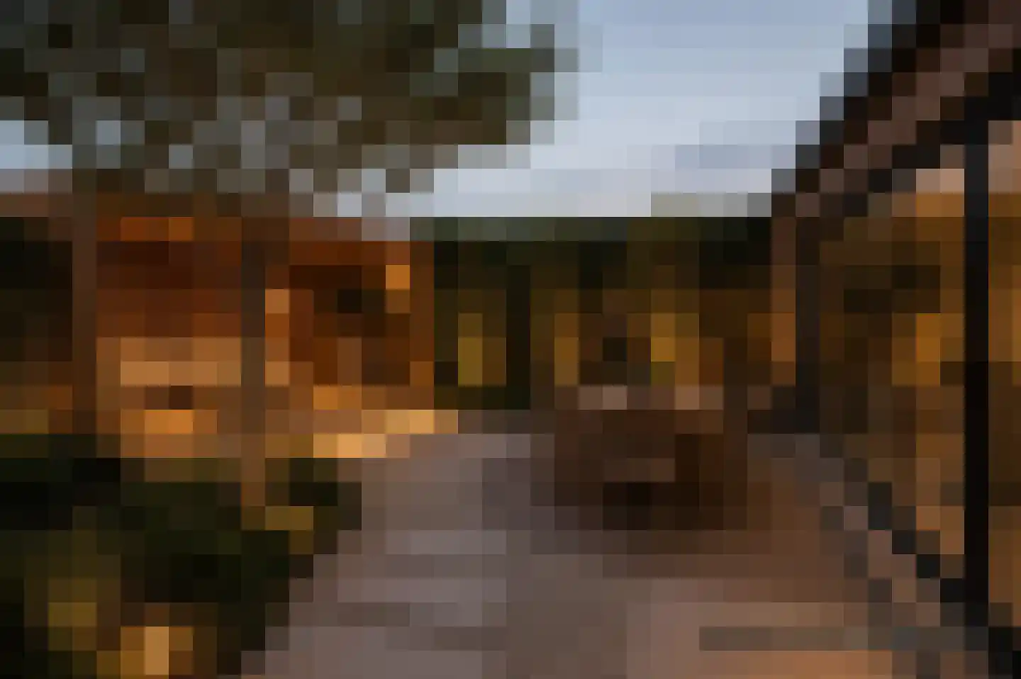Waterhoen 5 Muiderberg thumbnail 15