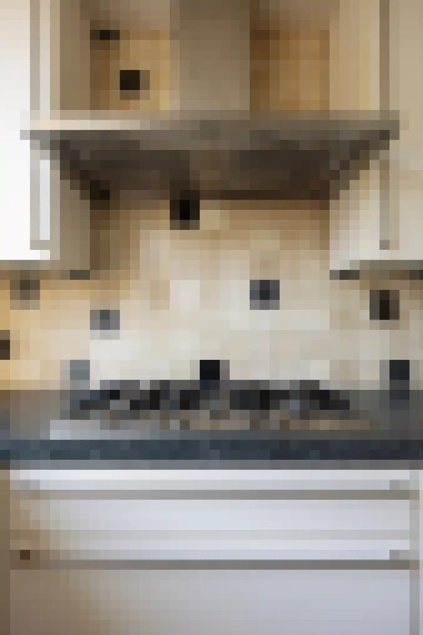 Waterhoen 5 Muiderberg thumbnail 17
