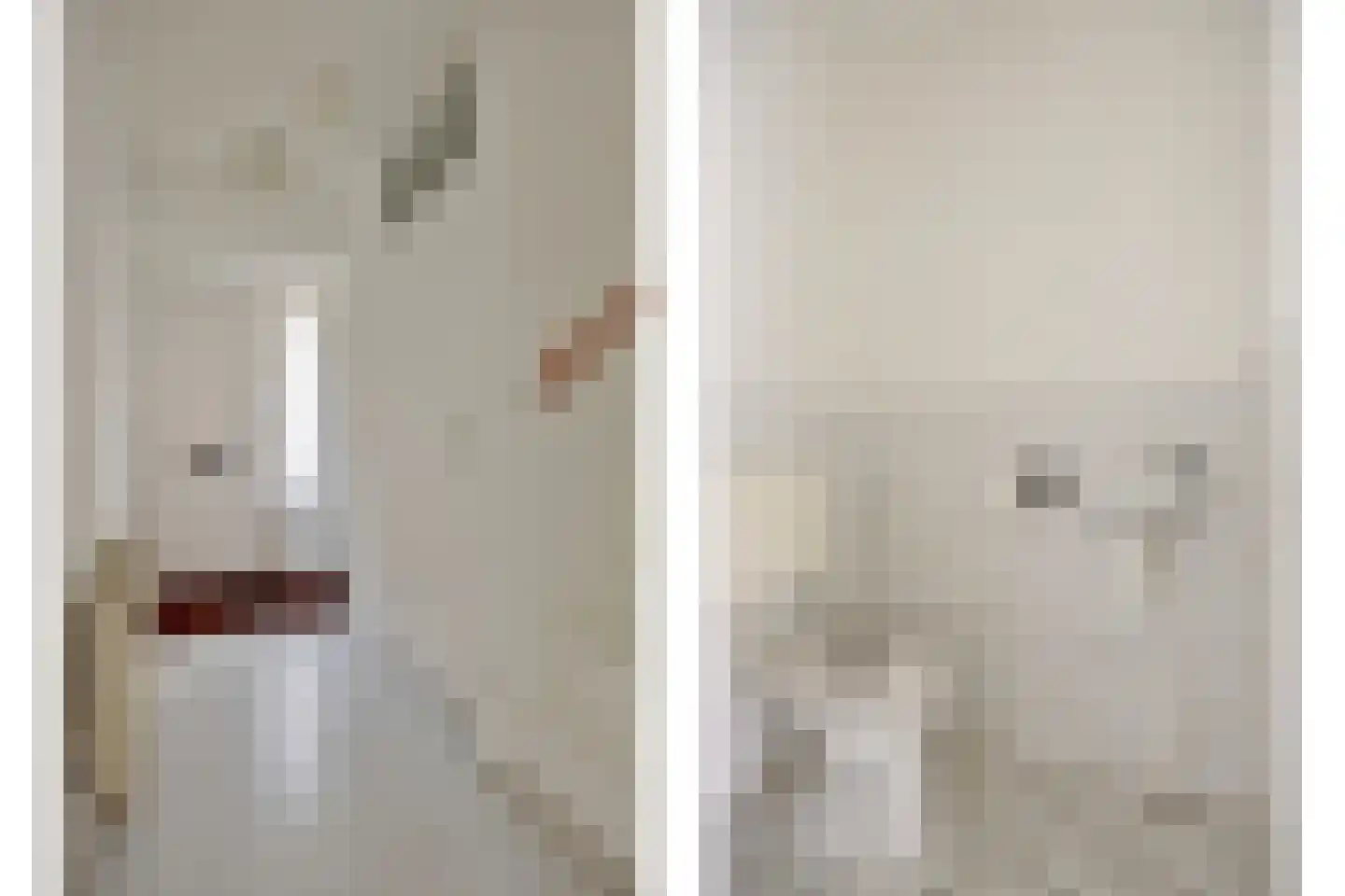 Waterhoen 5 Muiderberg thumbnail 18