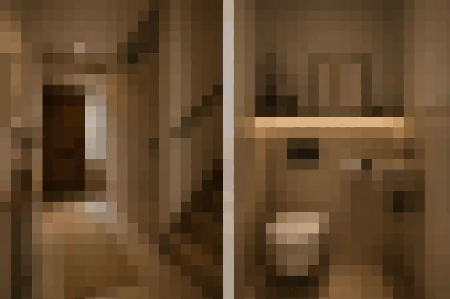 Waterhoen 5 Muiderberg thumbnail 24