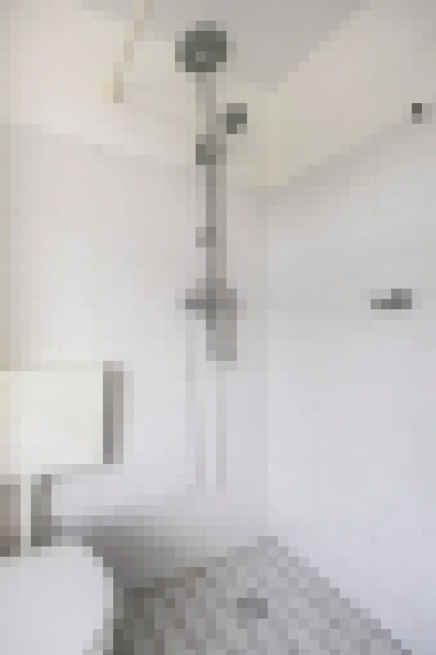 Waterhoen 5 Muiderberg thumbnail 24