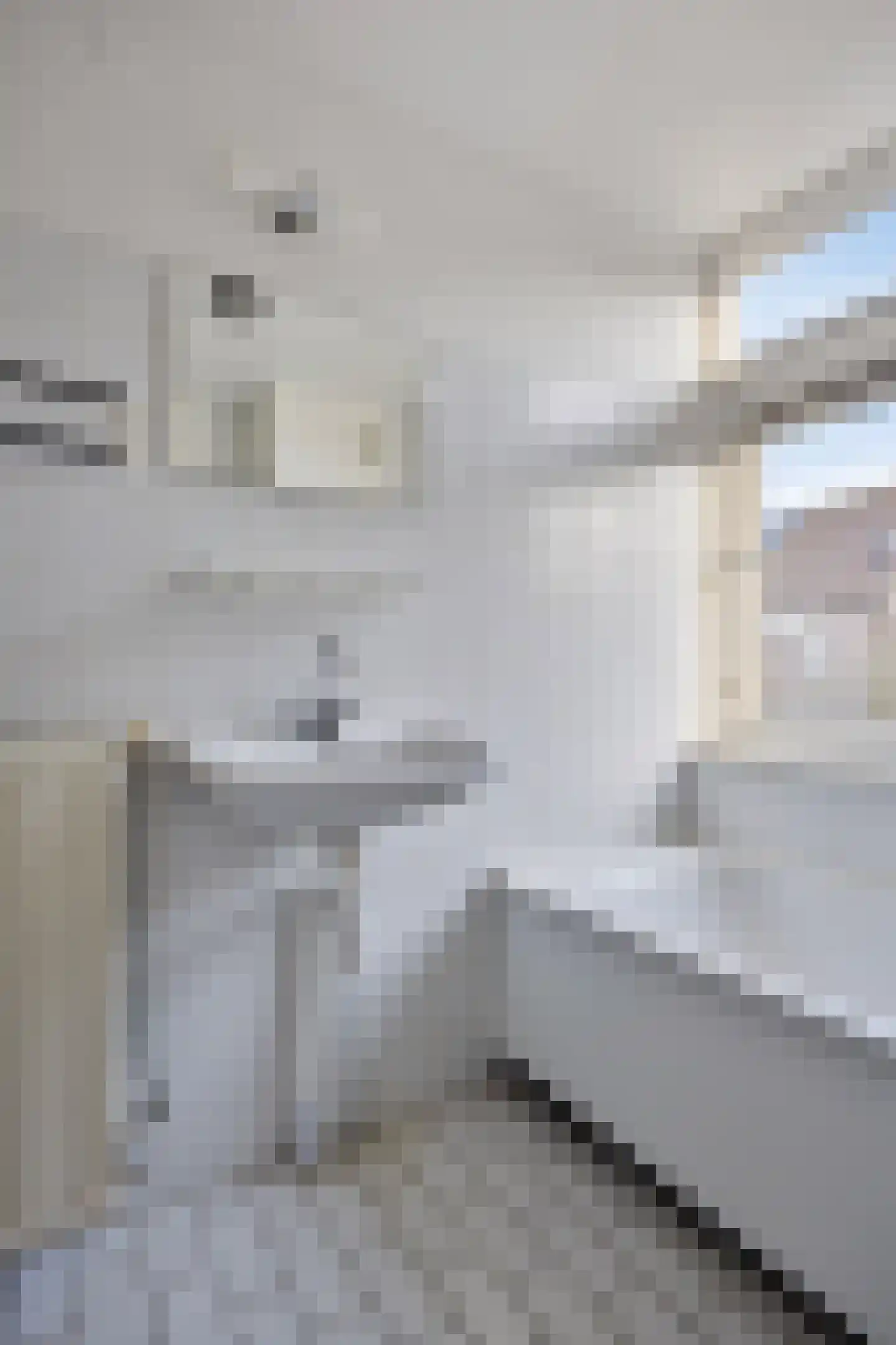 Waterhoen 5 Muiderberg thumbnail 25