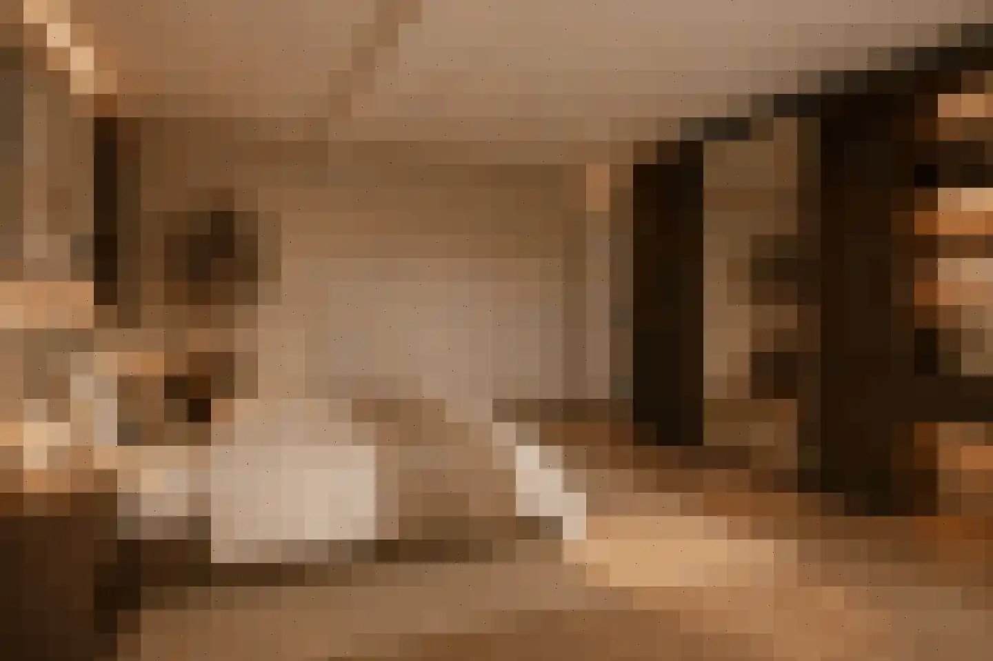 Waterhoen 5 Muiderberg thumbnail 30