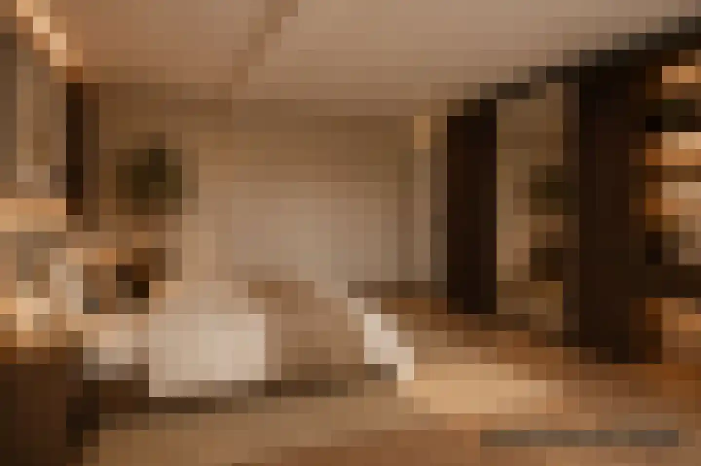 Waterhoen 5 Muiderberg thumbnail 30