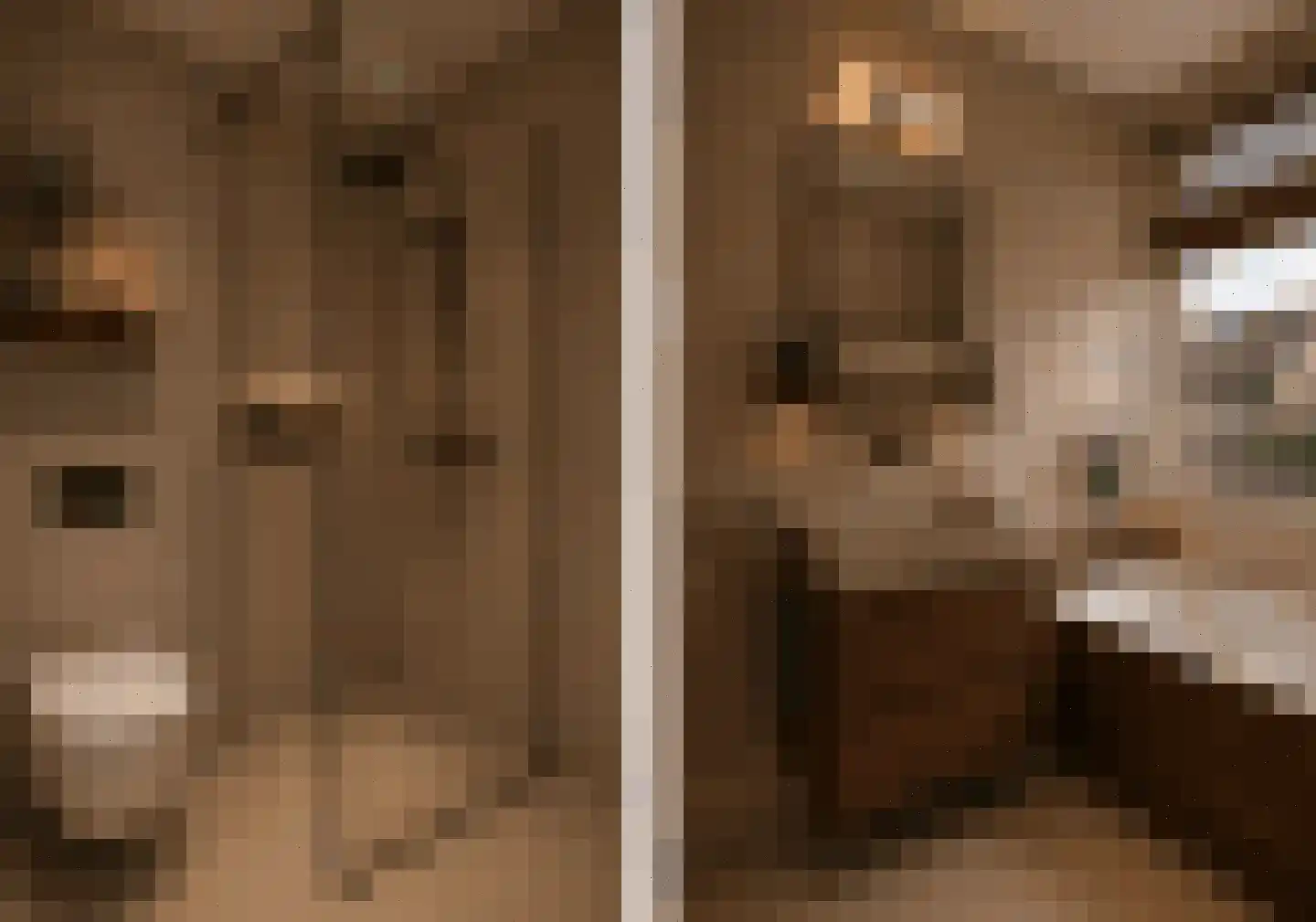 Waterhoen 5 Muiderberg thumbnail 34