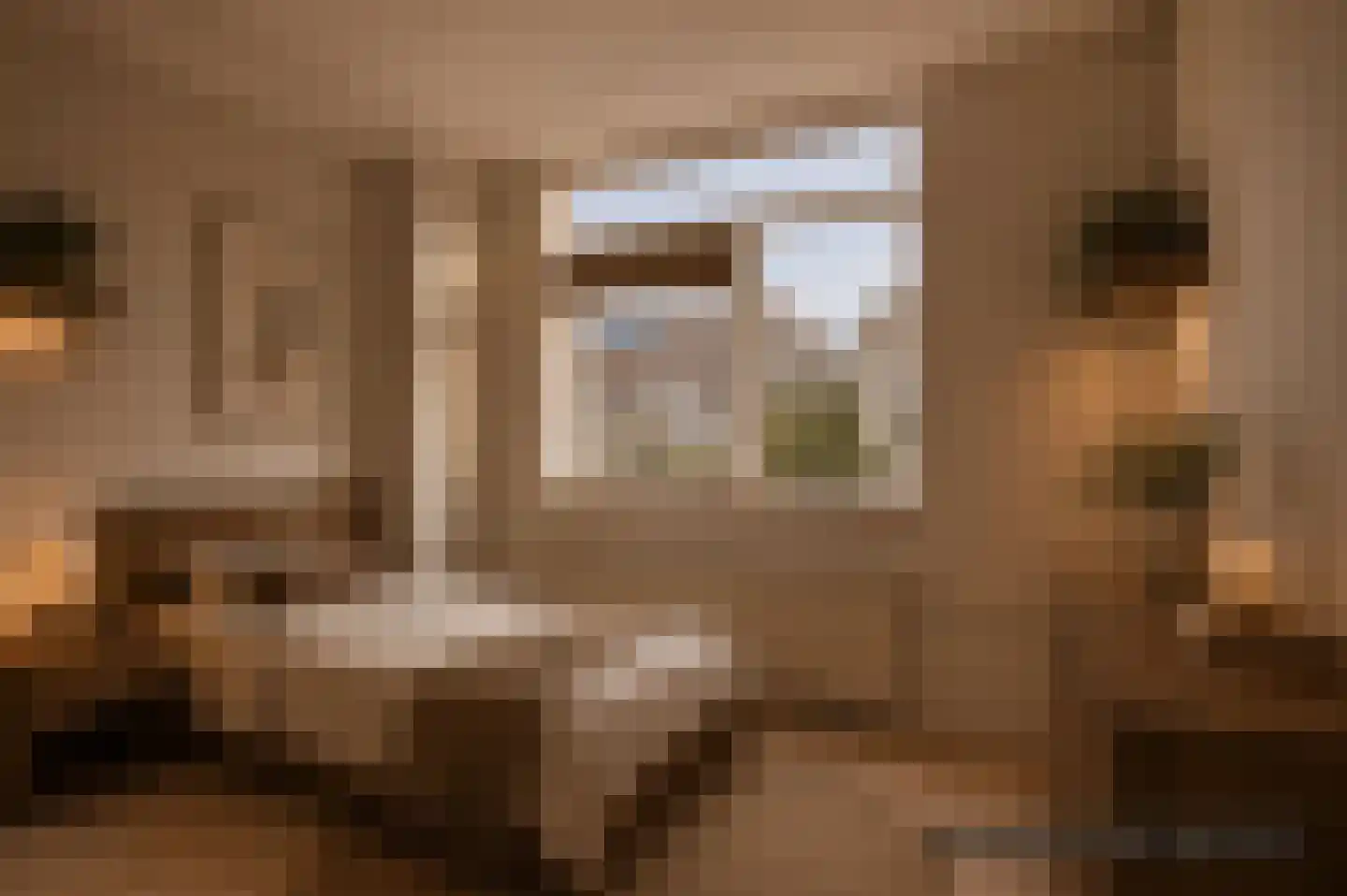 Waterhoen 5 Muiderberg thumbnail 36