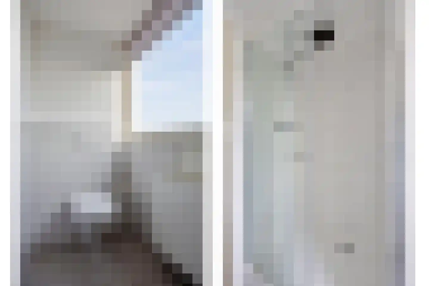 Waterhoen 5 Muiderberg thumbnail 36