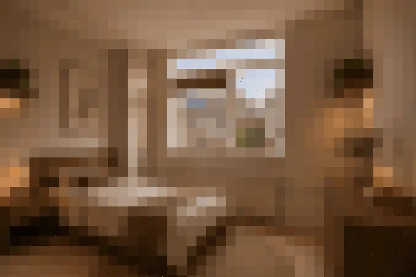 Waterhoen 5 Muiderberg thumbnail 36