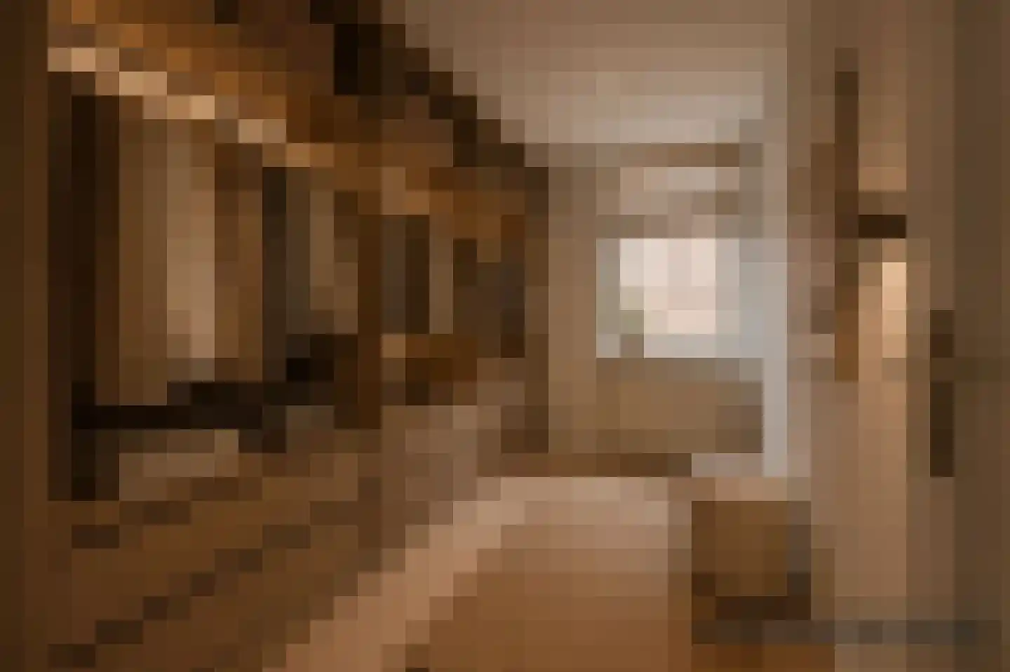 Waterhoen 5 Muiderberg thumbnail 39