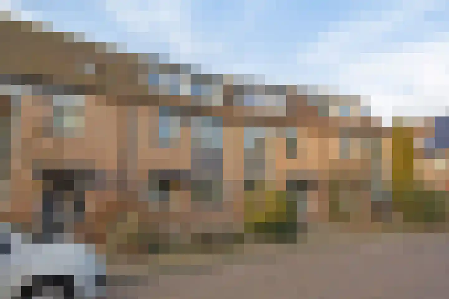 Waterhoen 5 Muiderberg thumbnail 42
