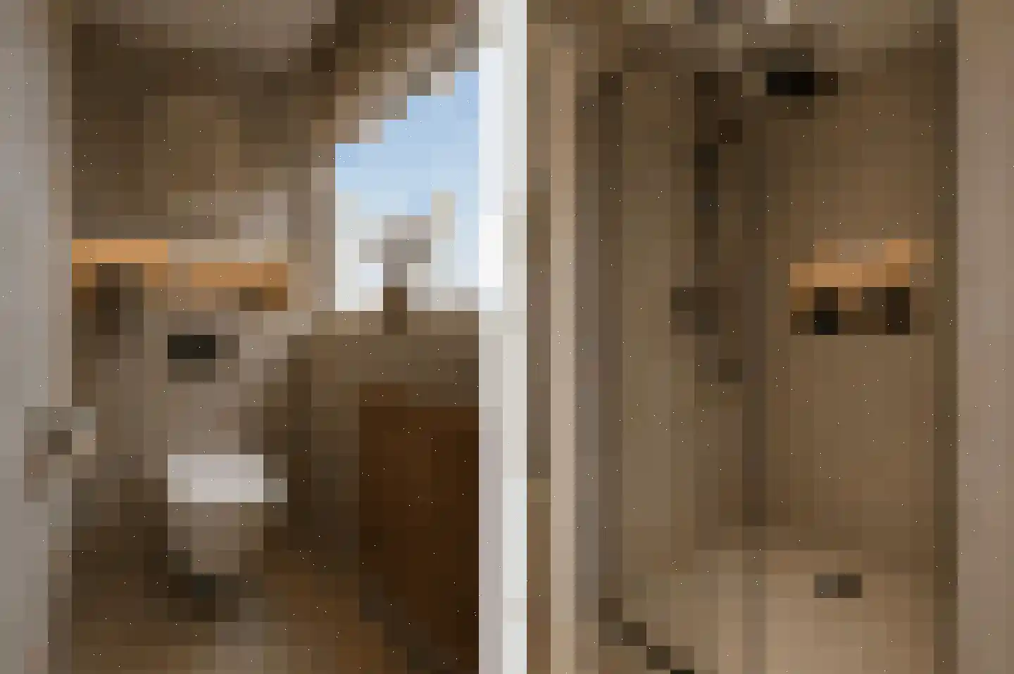 Waterhoen 5 Muiderberg thumbnail 44