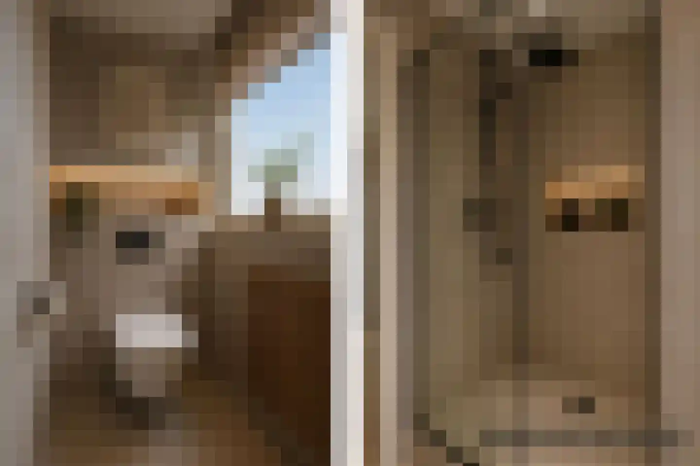 Waterhoen 5 Muiderberg thumbnail 44