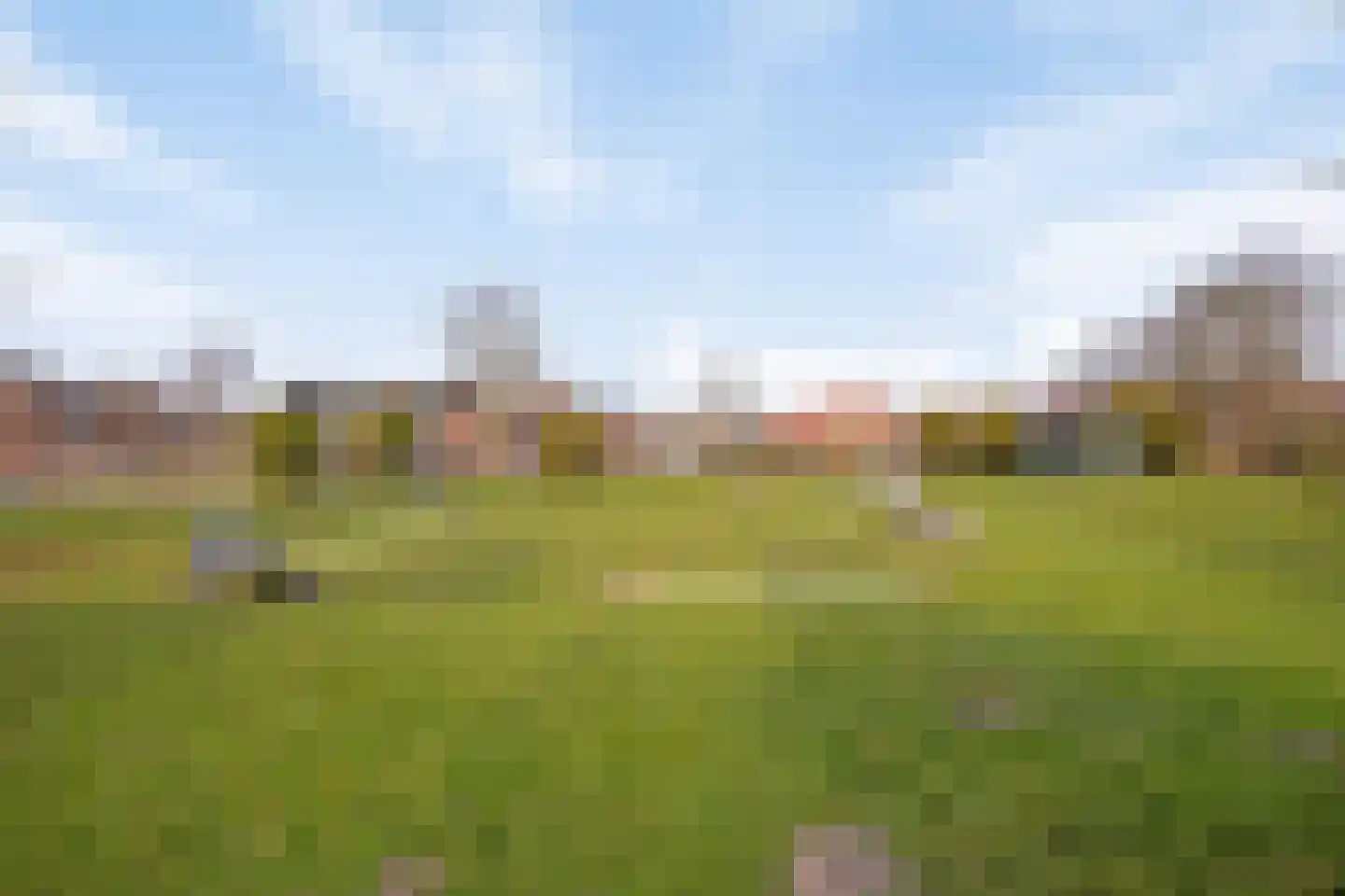 Waterhoen 5 Muiderberg thumbnail 45