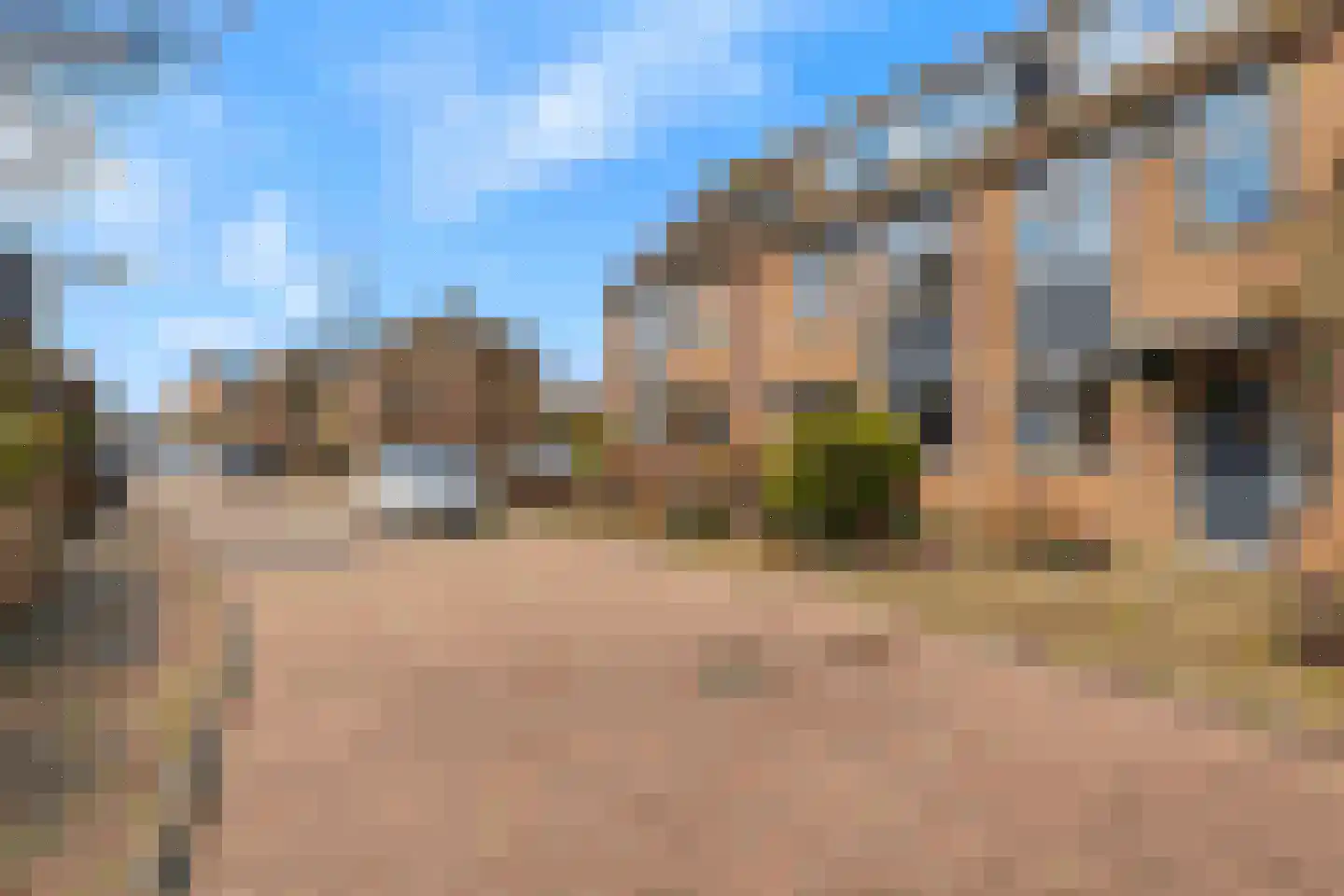 Waterhoen 5 Muiderberg thumbnail 49