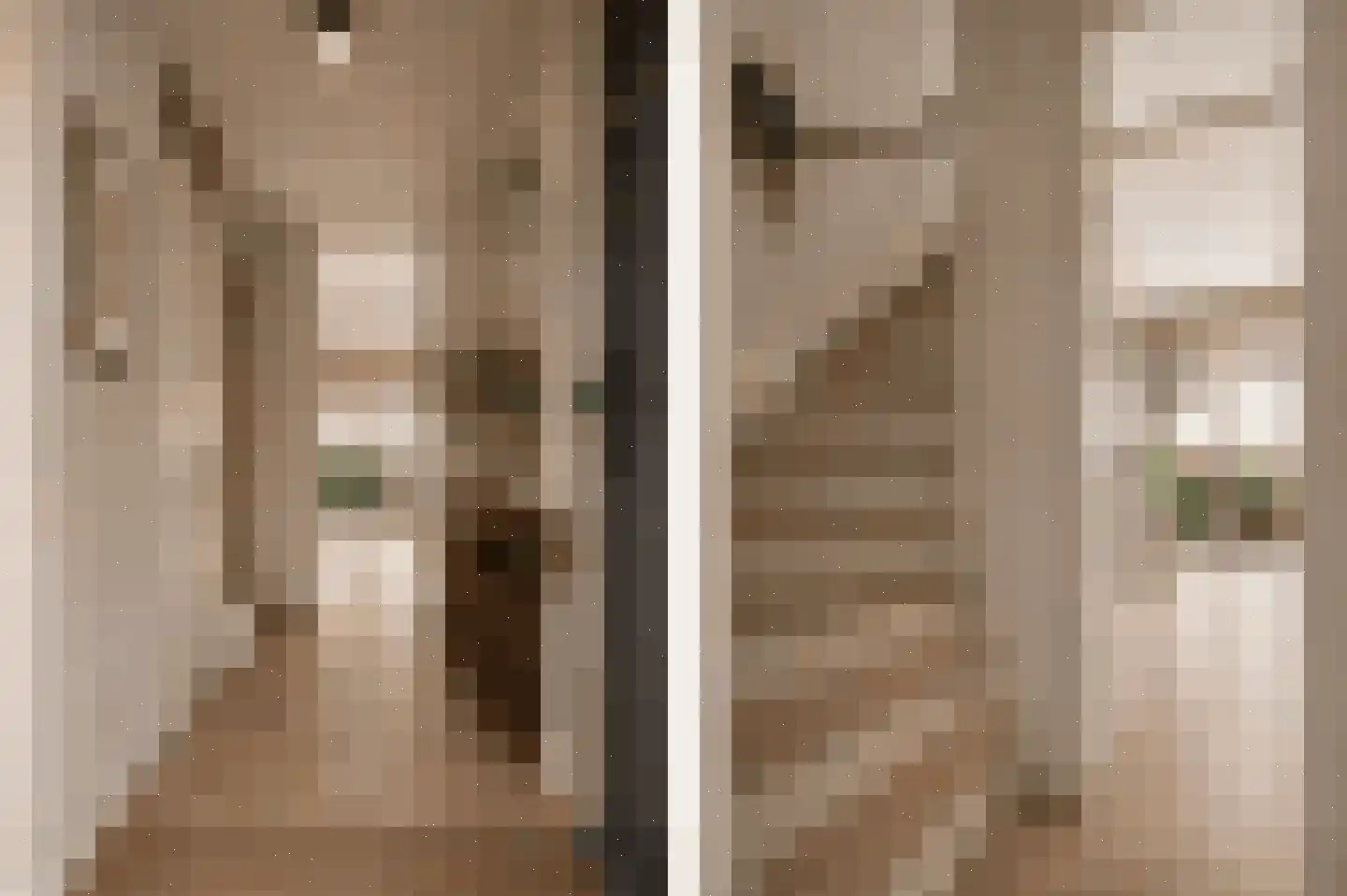 Waterhoen 5 Muiderberg thumbnail 5
