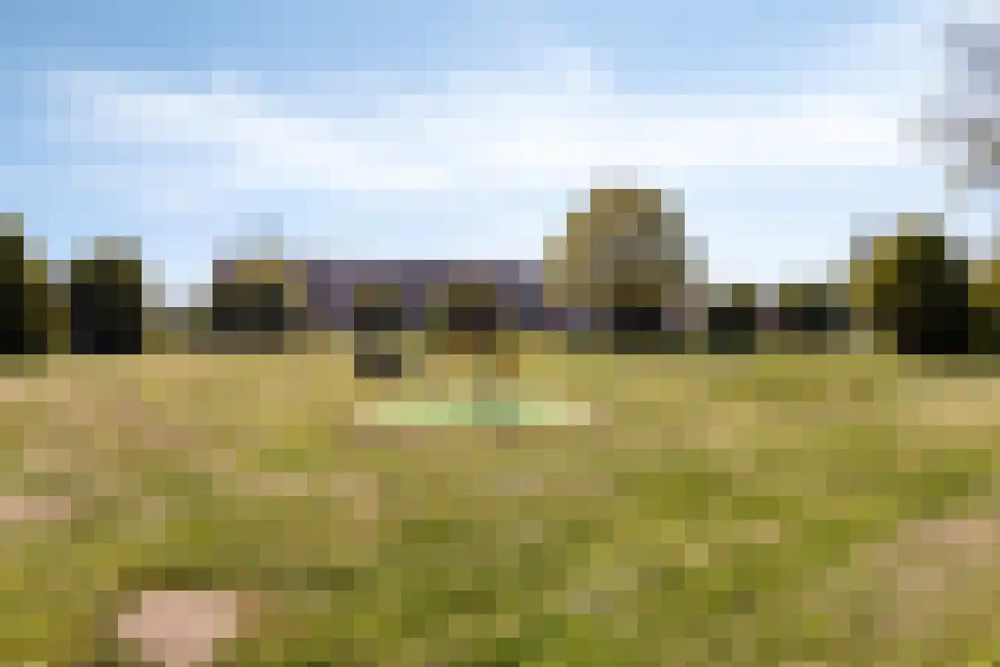 Waterhoen 5 Muiderberg thumbnail 50