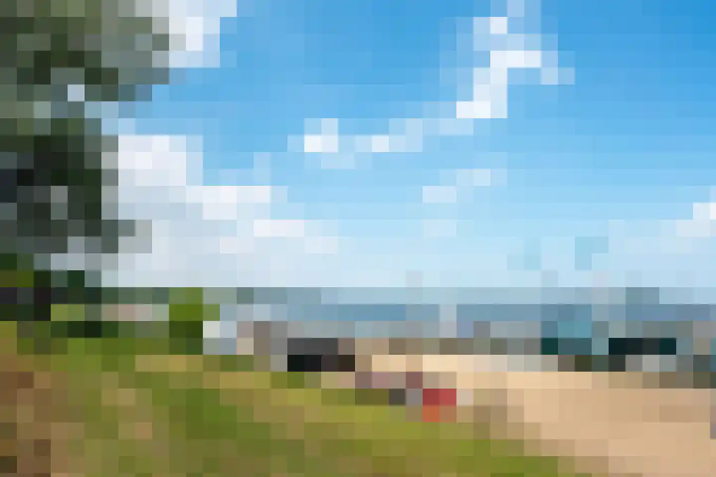 Waterhoen 5 Muiderberg thumbnail 59