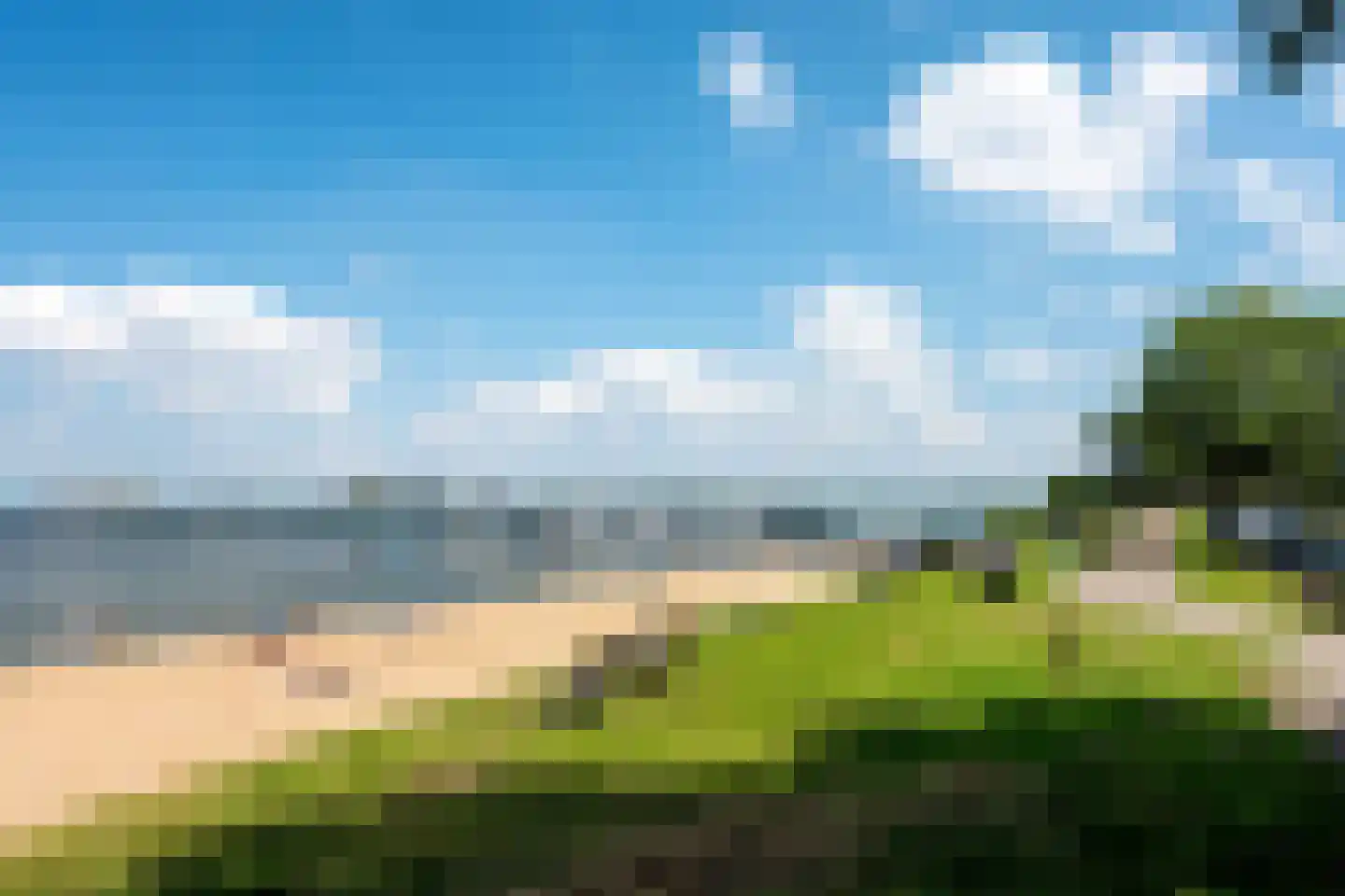 Waterhoen 5 Muiderberg thumbnail 60