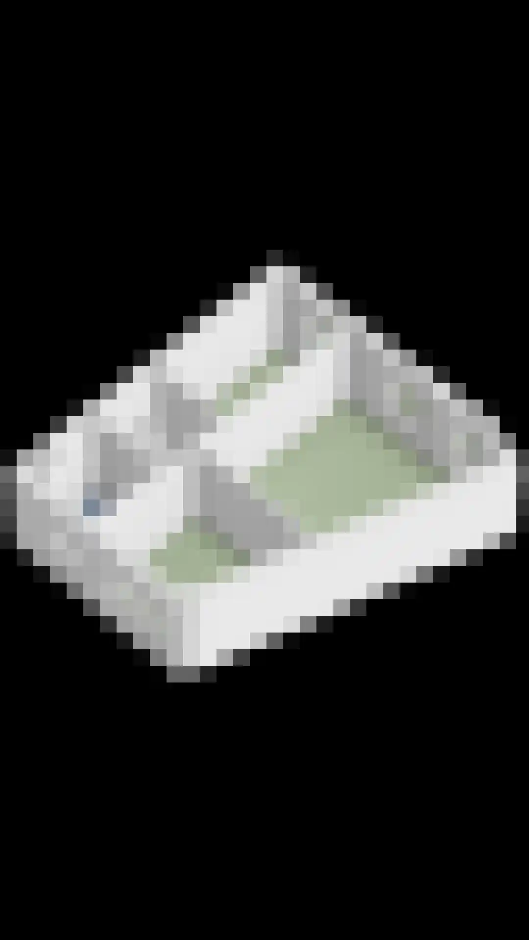 Waterhoen 5 Muiderberg thumbnail 69