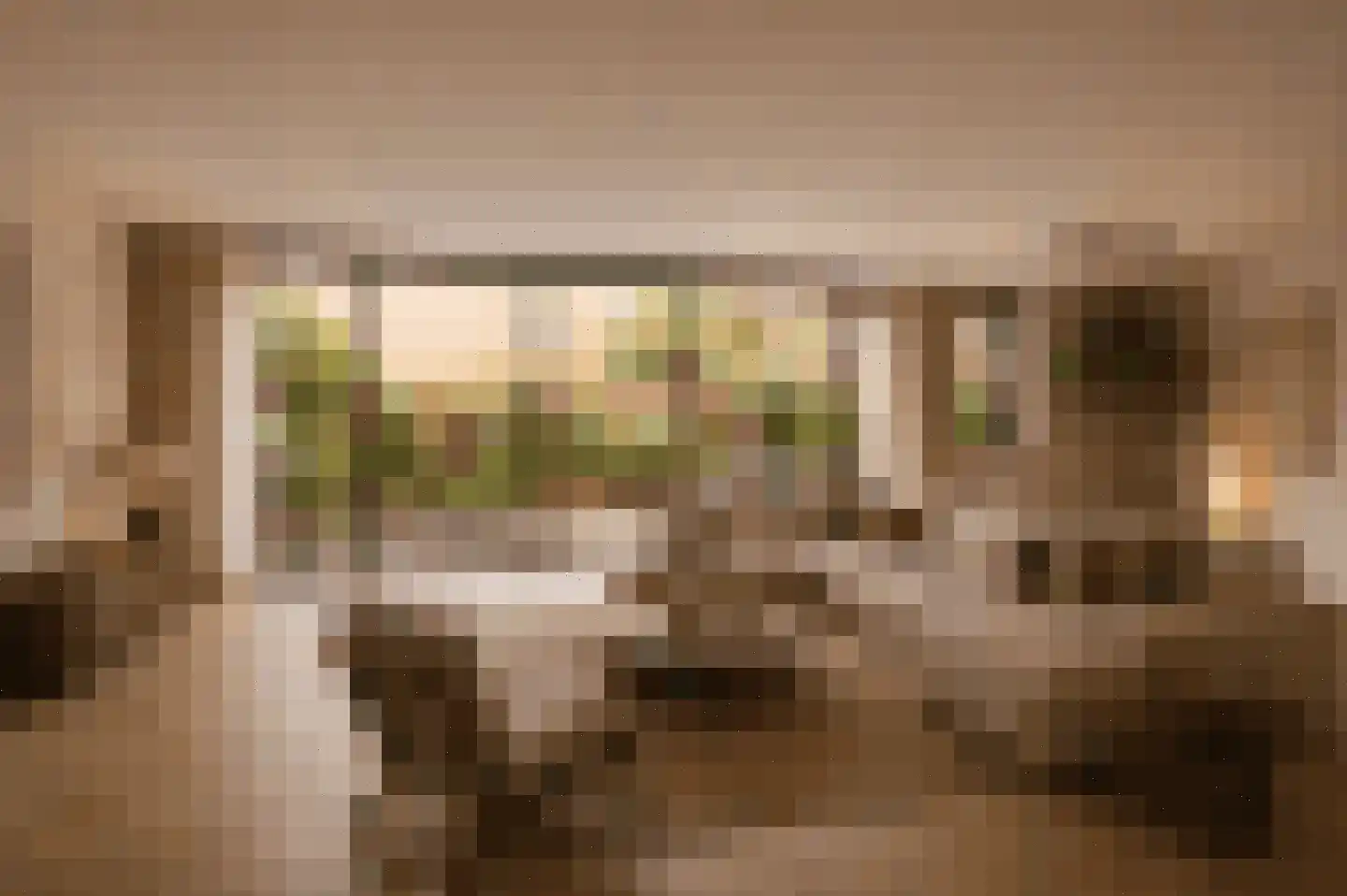 Waterhoen 5 Muiderberg thumbnail 7