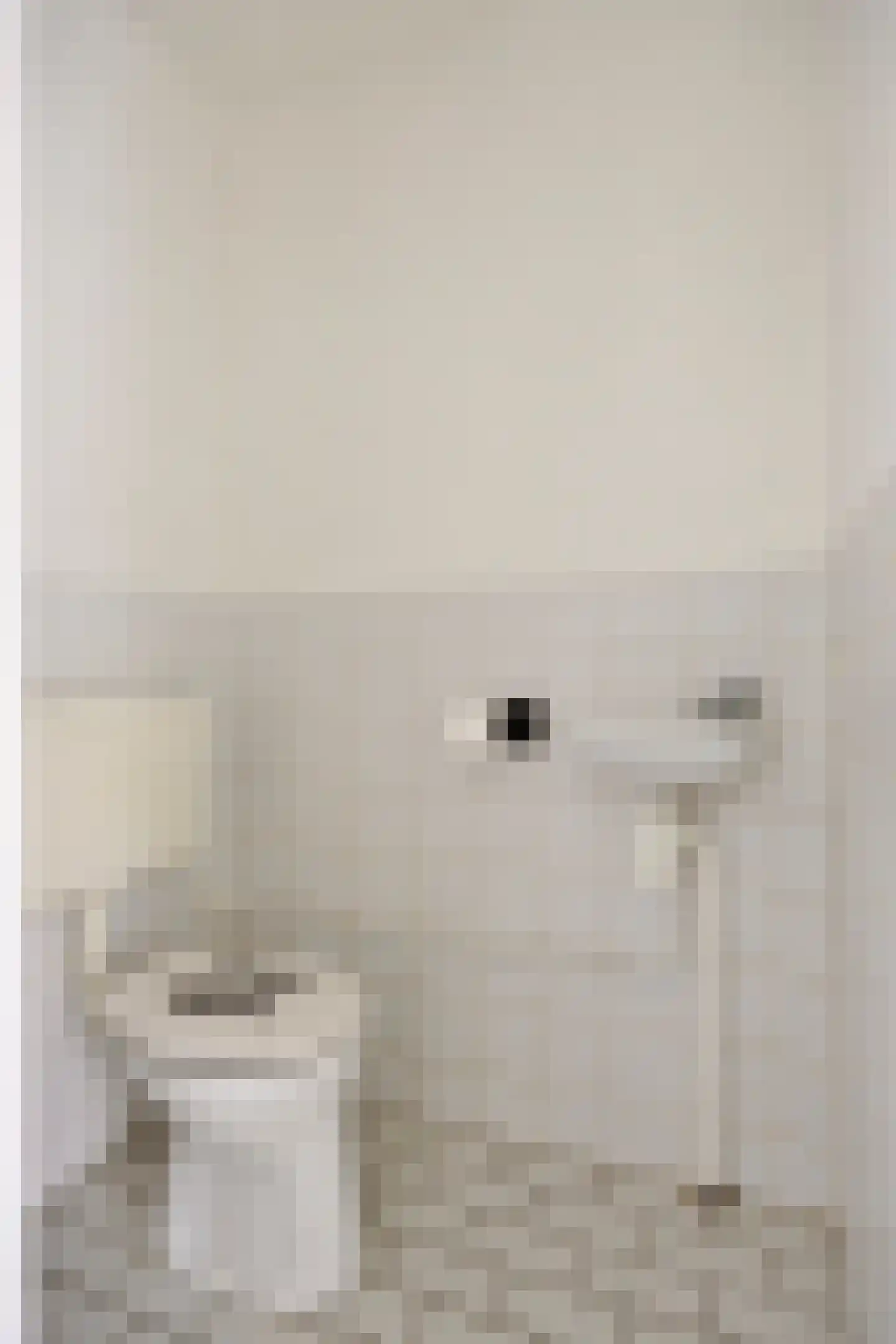 Waterhoen 5 Muiderberg thumbnail 7