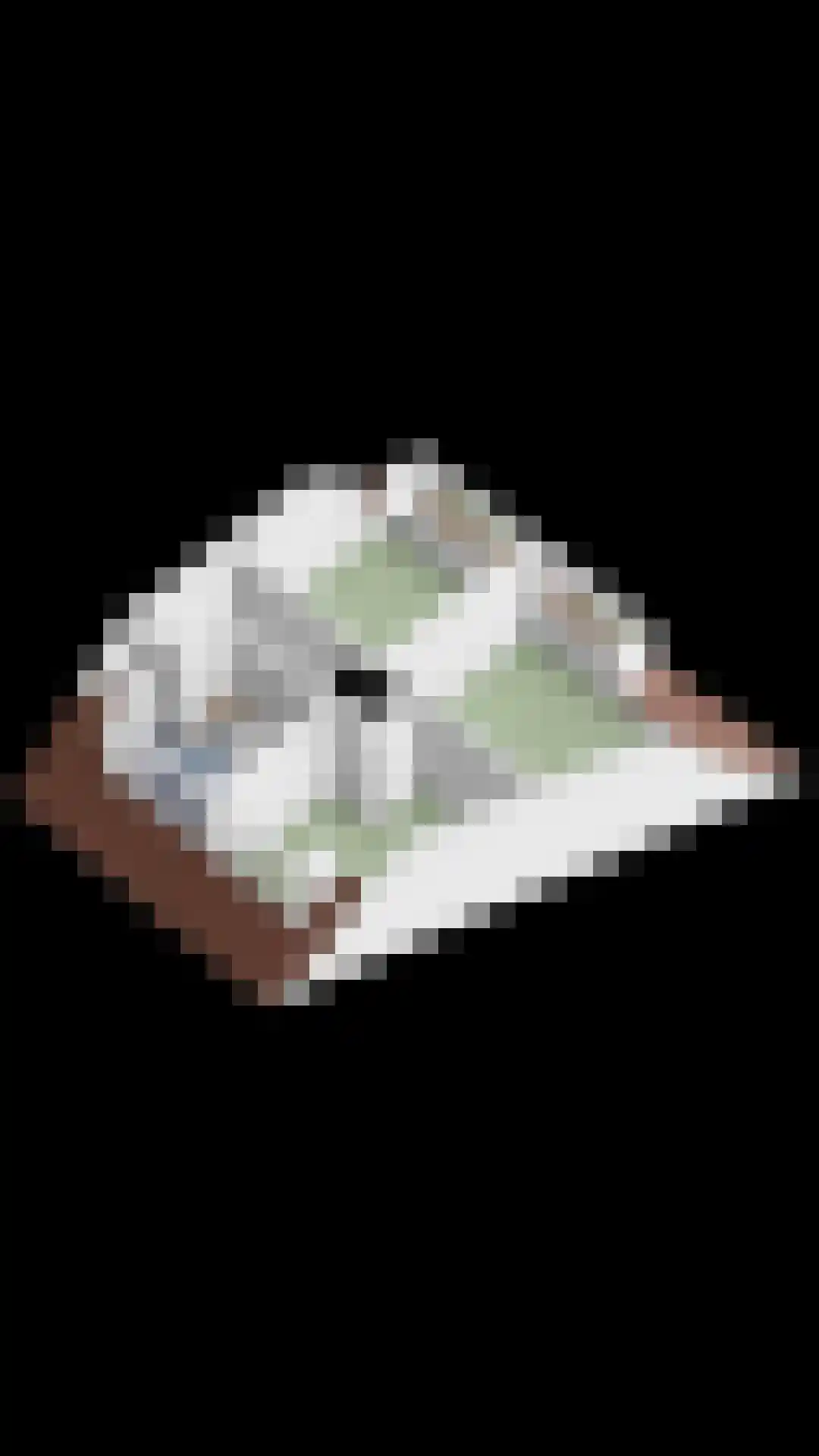 Waterhoen 5 Muiderberg thumbnail 70