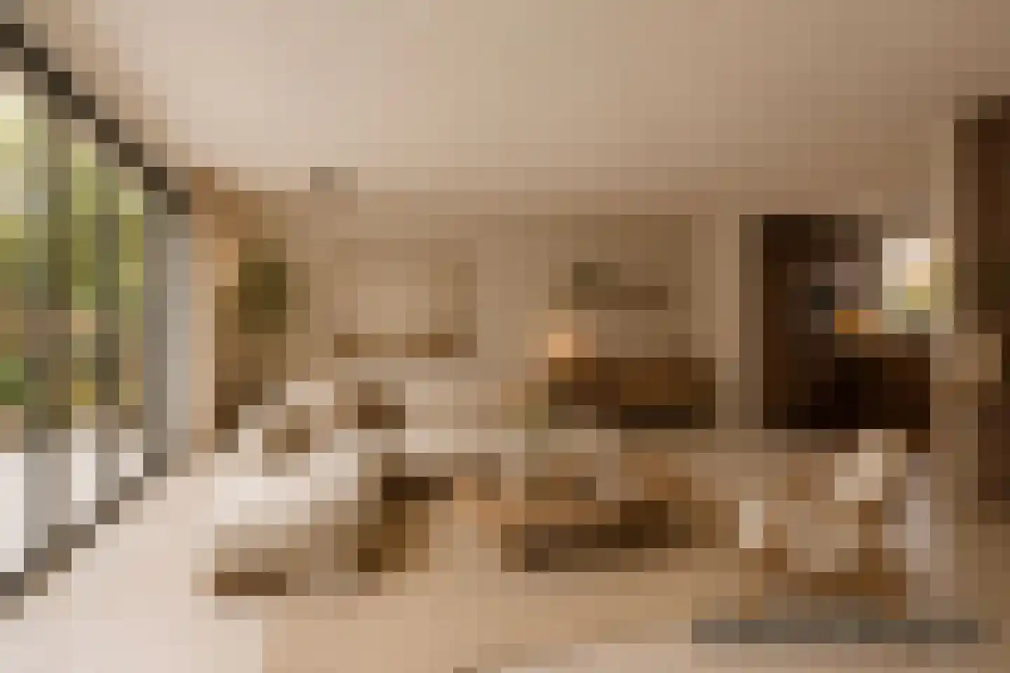 Waterhoen 5 Muiderberg thumbnail 9