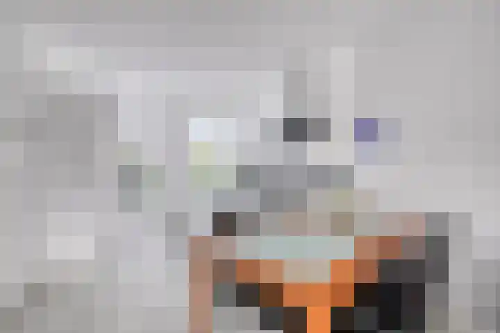 Waterhoen 5 Piershil thumbnail 12