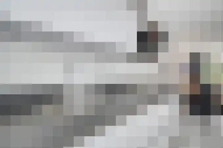Waterhoen 5 Piershil thumbnail 13