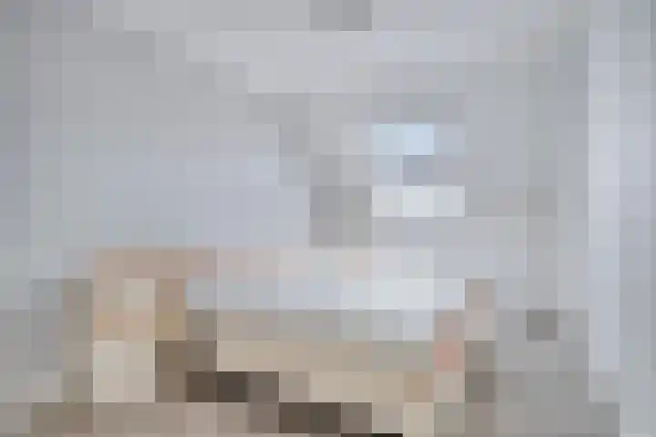 Waterhoen 5 Piershil thumbnail 18