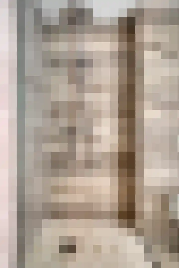 Waterhoen 5 Piershil thumbnail 21