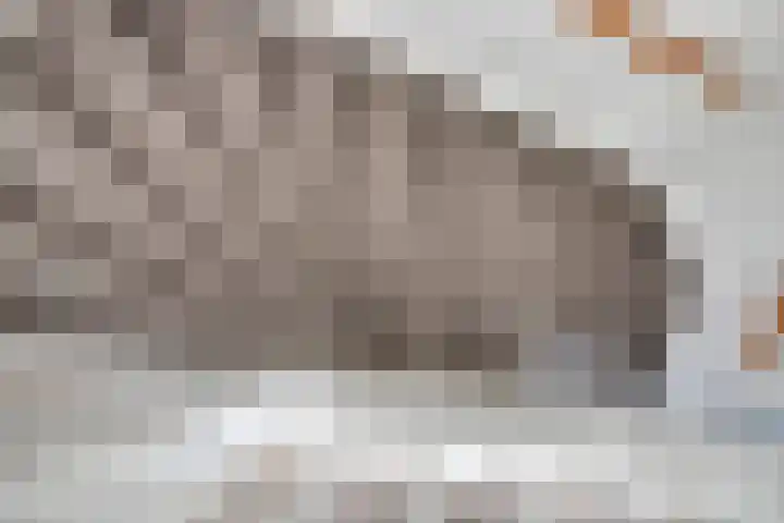 Waterhoen 5 Piershil thumbnail 26