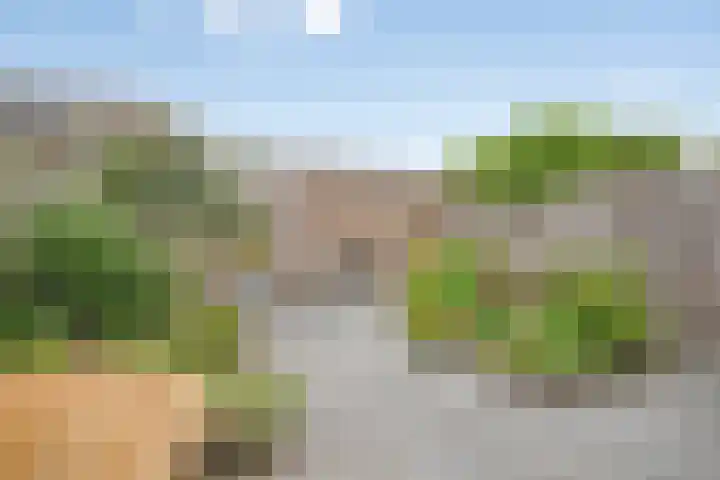Waterhoen 5 Piershil thumbnail 29