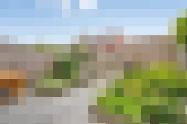Waterhoen 5 Piershil thumbnail 30