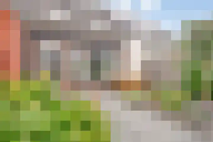 Waterhoen 5 Piershil thumbnail 31
