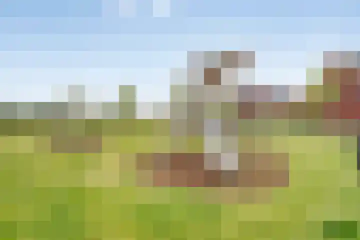 Waterhoen 5 Piershil thumbnail 32