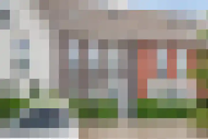 Waterhoen 5 Piershil thumbnail 37