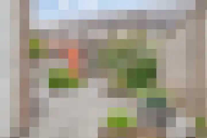 Waterhoen 5 Piershil thumbnail 4