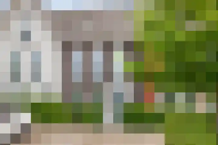 Waterhoen 5 Piershil thumbnail 5
