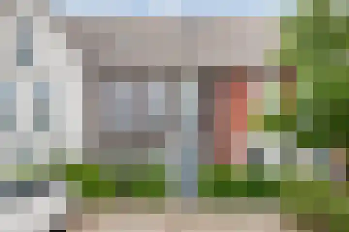 Waterhoen 5 Piershil thumbnail 6
