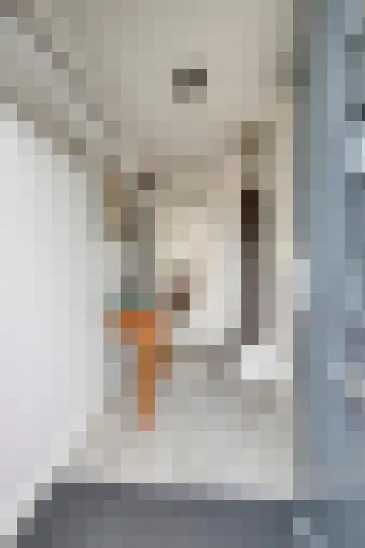 Waterhoen 5 Piershil thumbnail 9