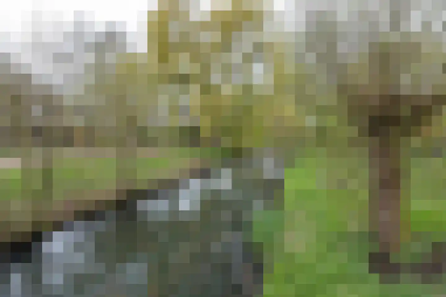 Waterhoen 52 Driebergen-Rijsenburg thumbnail 31