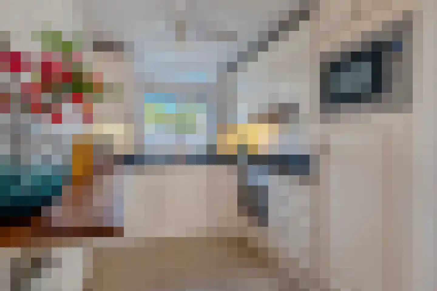 Waterhoen 6 Meppel thumbnail 11