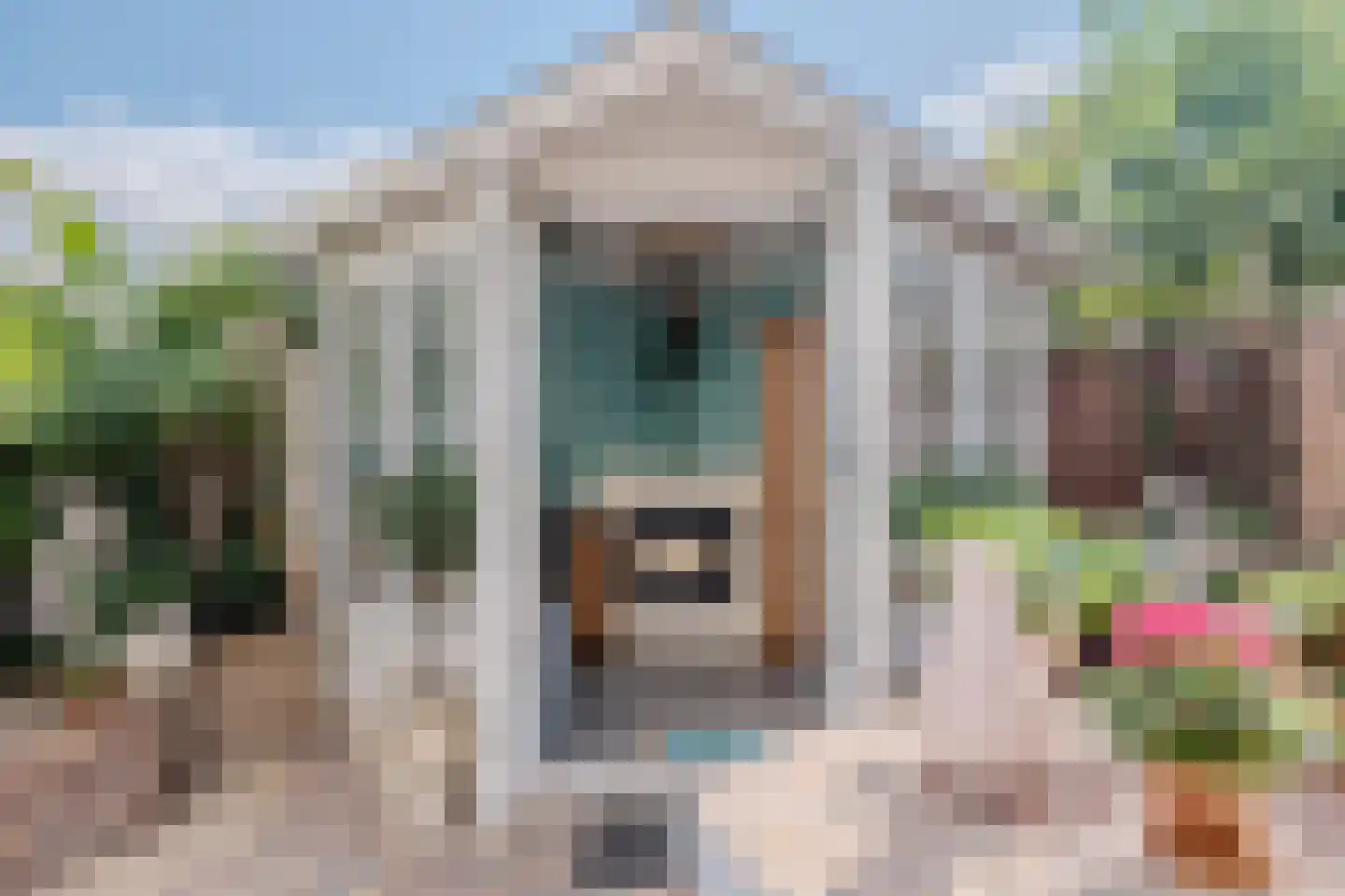 Waterhoen 6 Meppel thumbnail 34