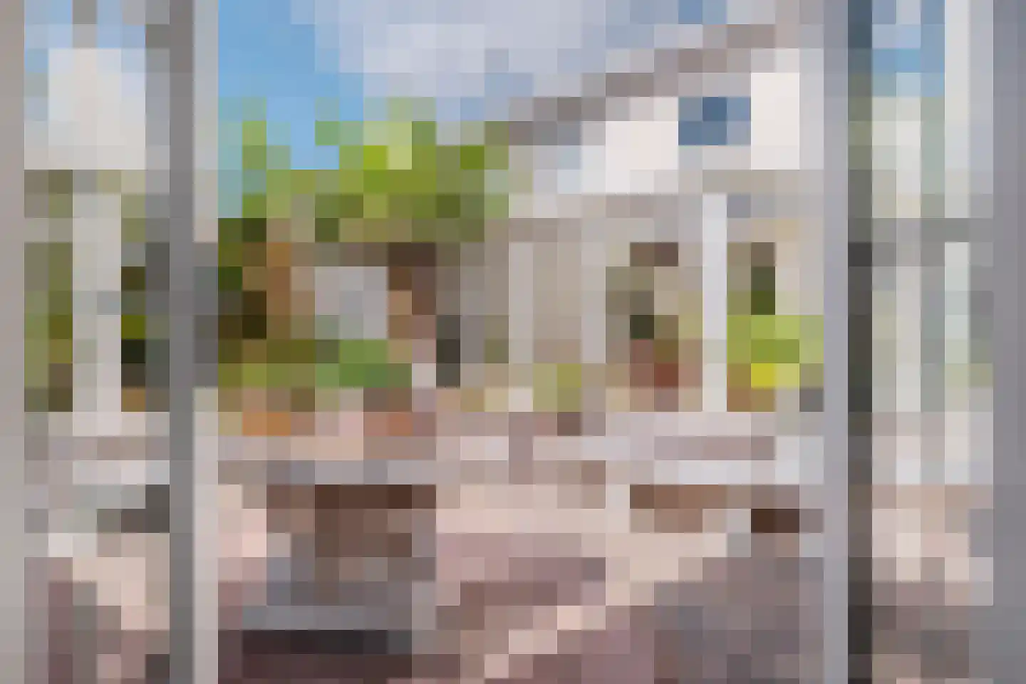 Waterhoen 6 Meppel thumbnail 36