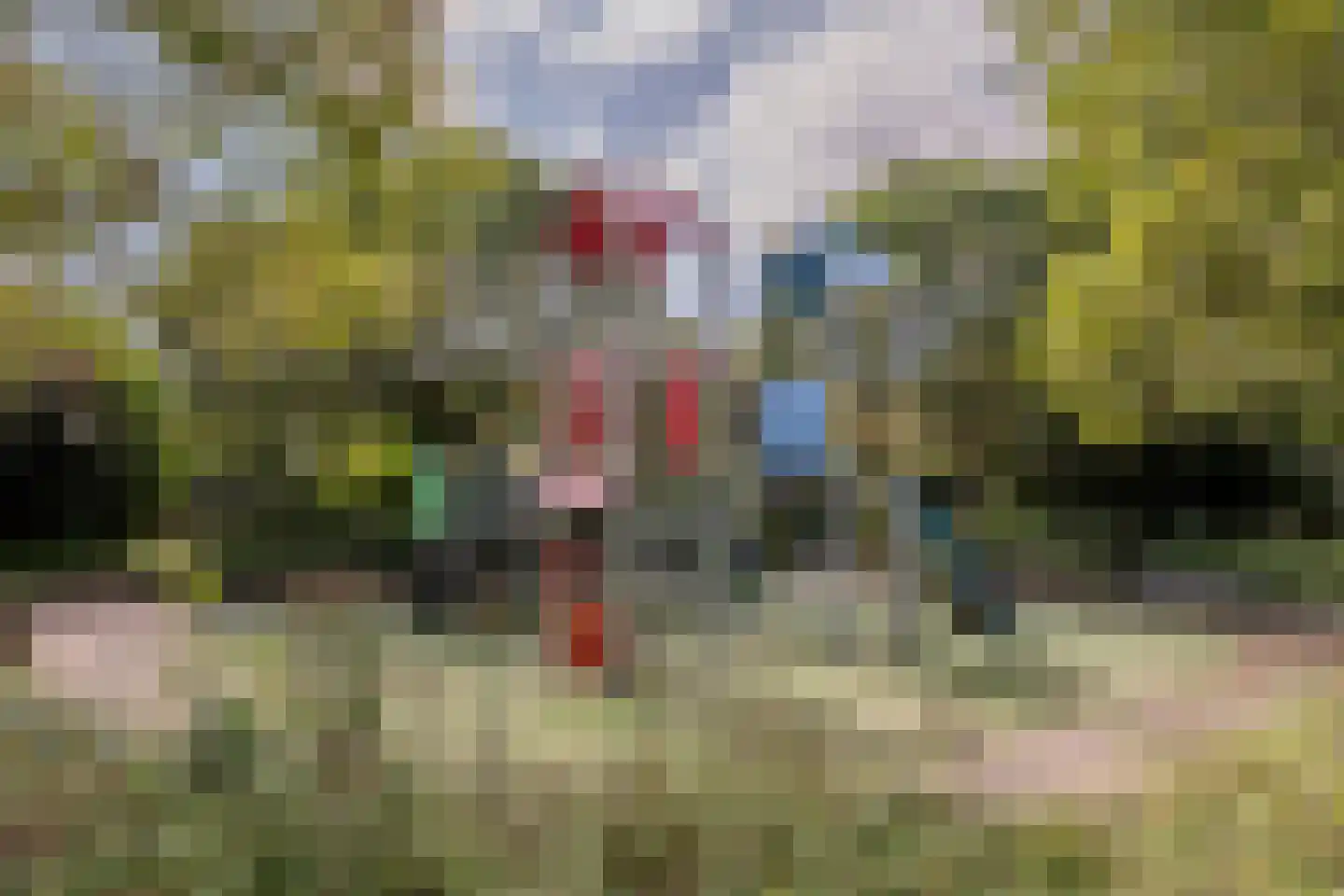 Waterhoen 6 Meppel thumbnail 40