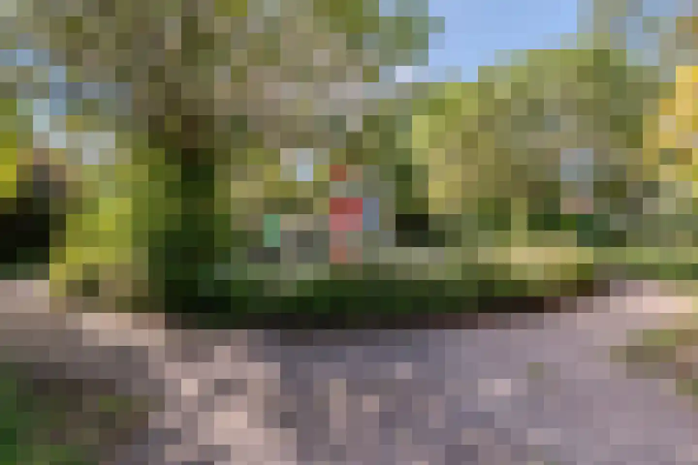 Waterhoen 6 Meppel thumbnail 41